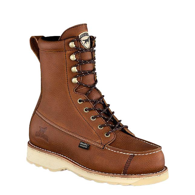 Irish Setter #A0894