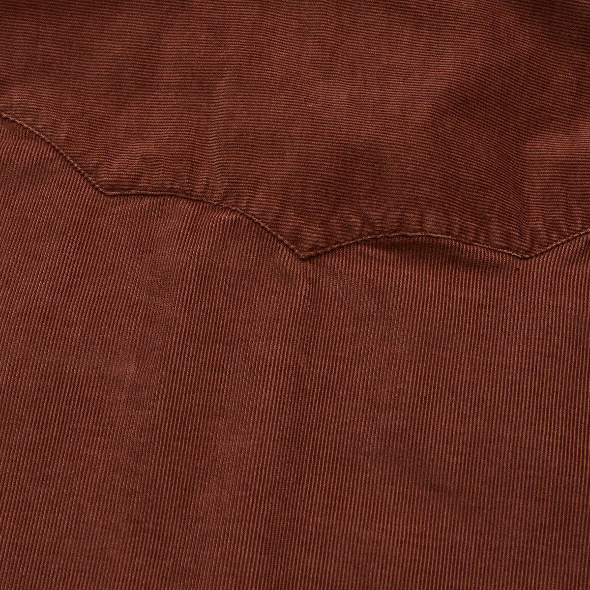 Howler Bros Banning Corduroy Snapshirt — additional view 19