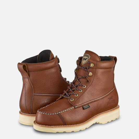 Irish Setter #A0838