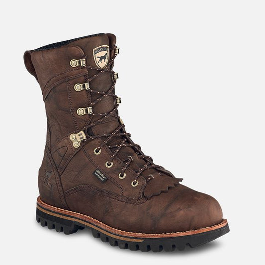 Irish Setter #A0861