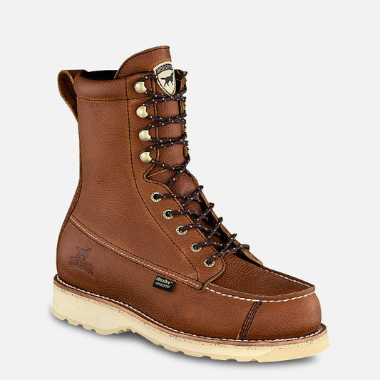 Irish Setter #A0894